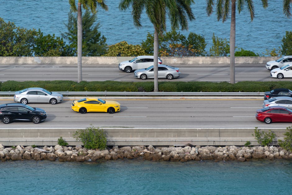 auto insurance agencies in florida